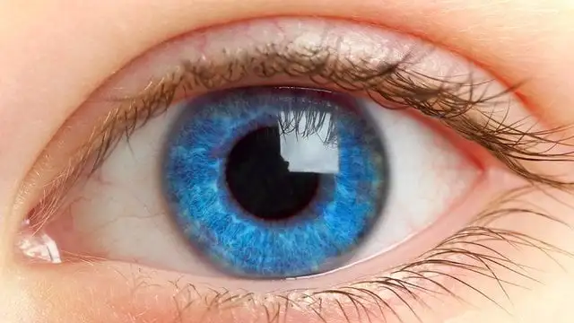 amazing facts about eye color