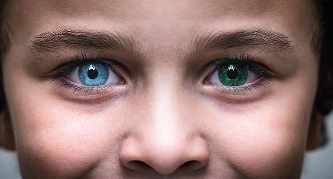 amazing facts about eyes