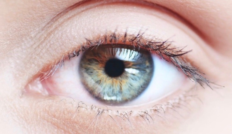 Amazing facts about eyelashes and eyelids